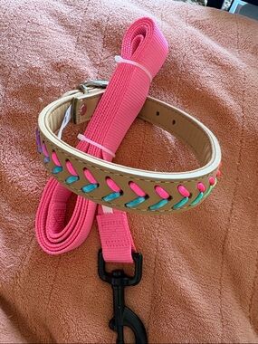 Vibrant Life Pink Braided Accent Dog Collar and Leash Set Medium Size Dog